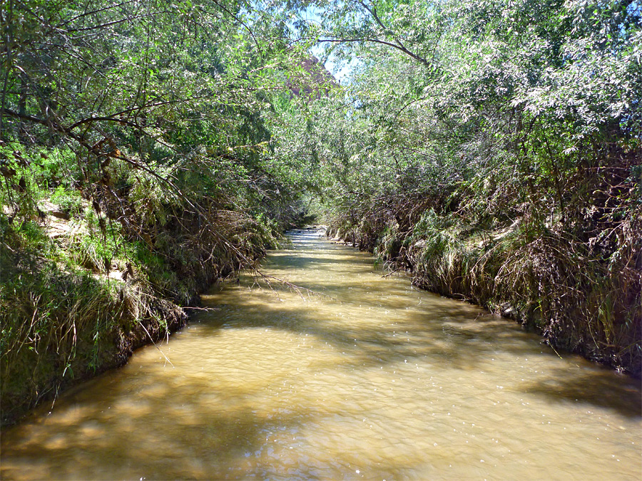 Escalante River