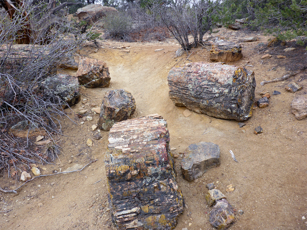 Differently-sized logs