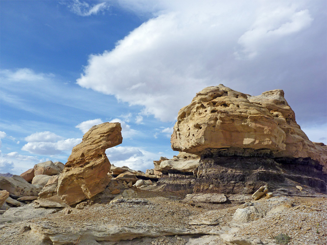 Sandstone and coal