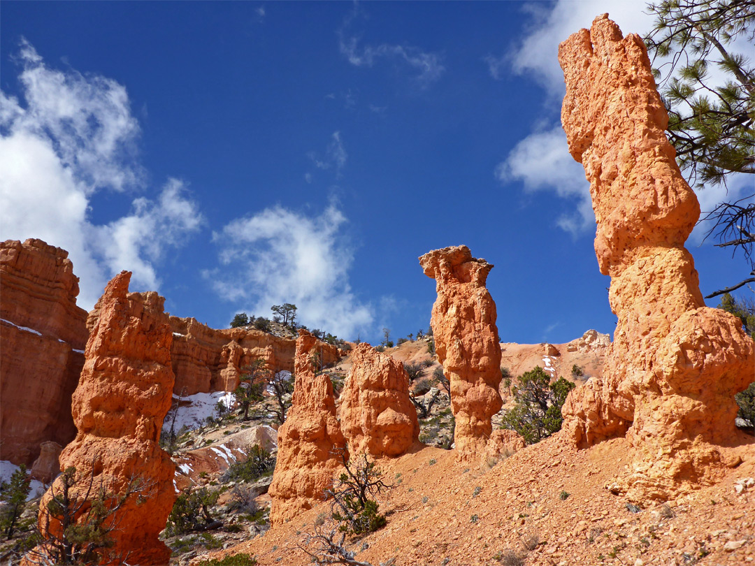 Pinnacles