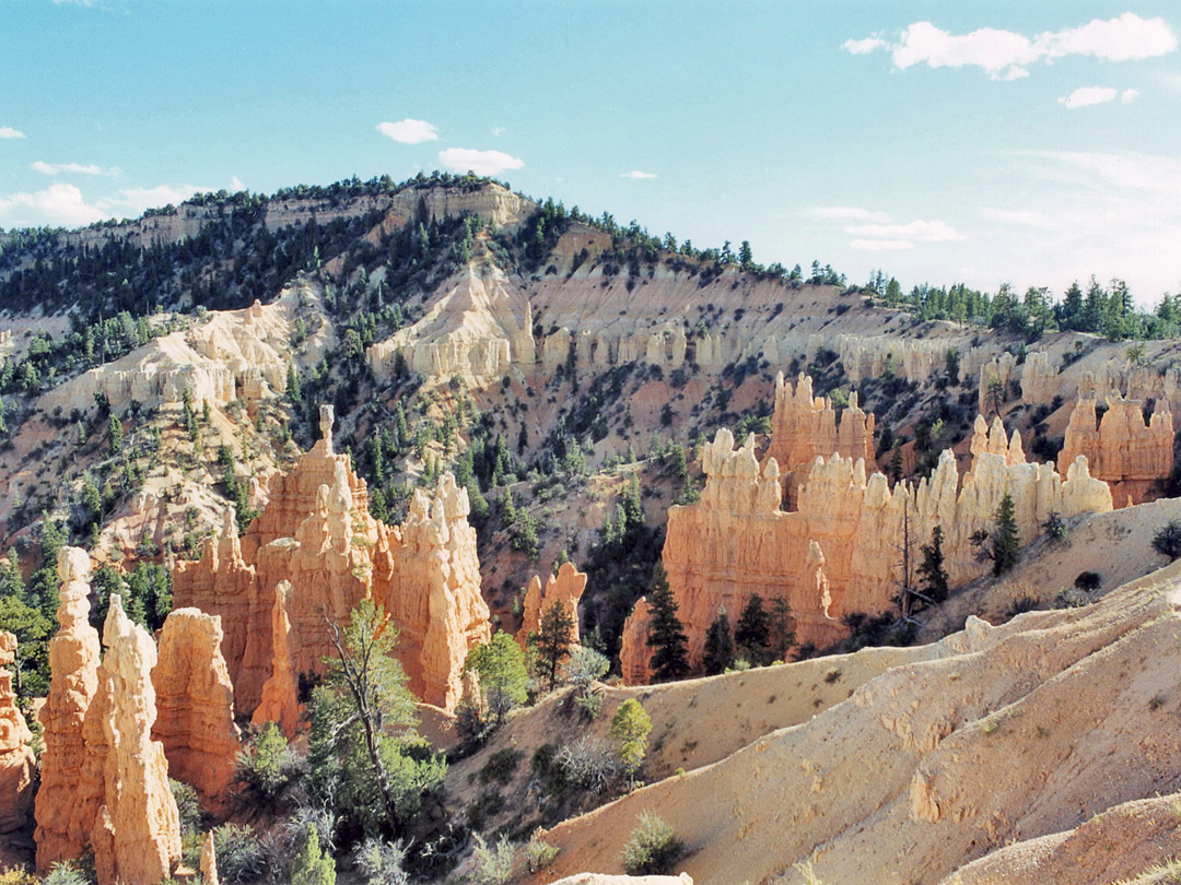 Light-colored formations