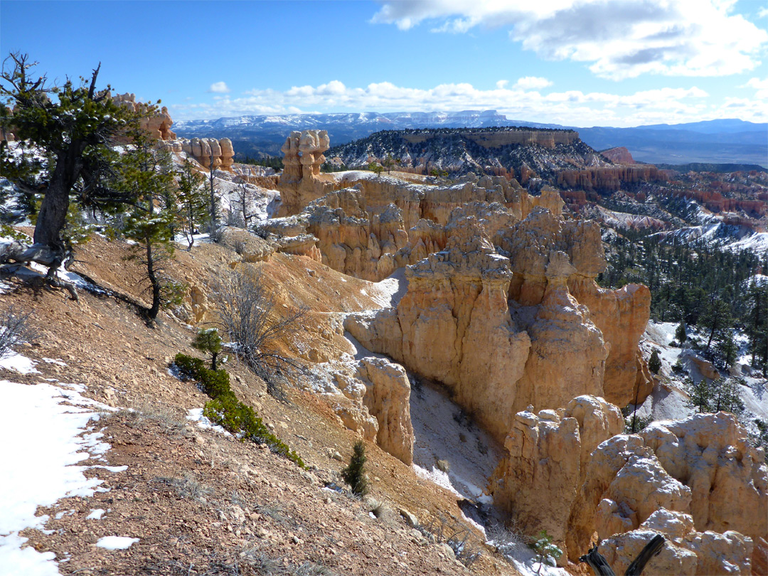 Snow on the rim