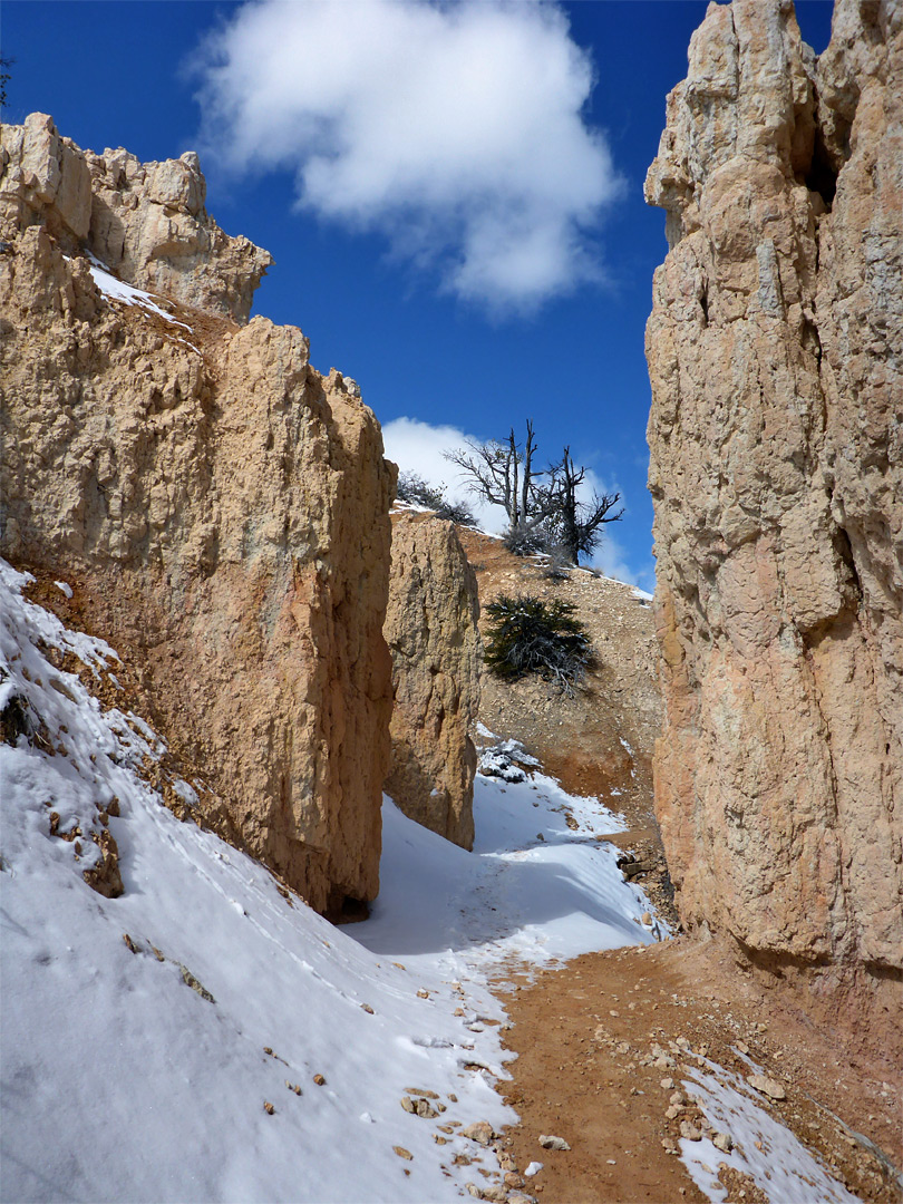 Narrow ravine