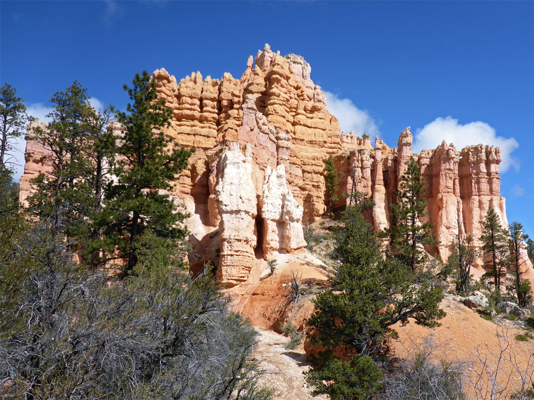 Line of hoodoos