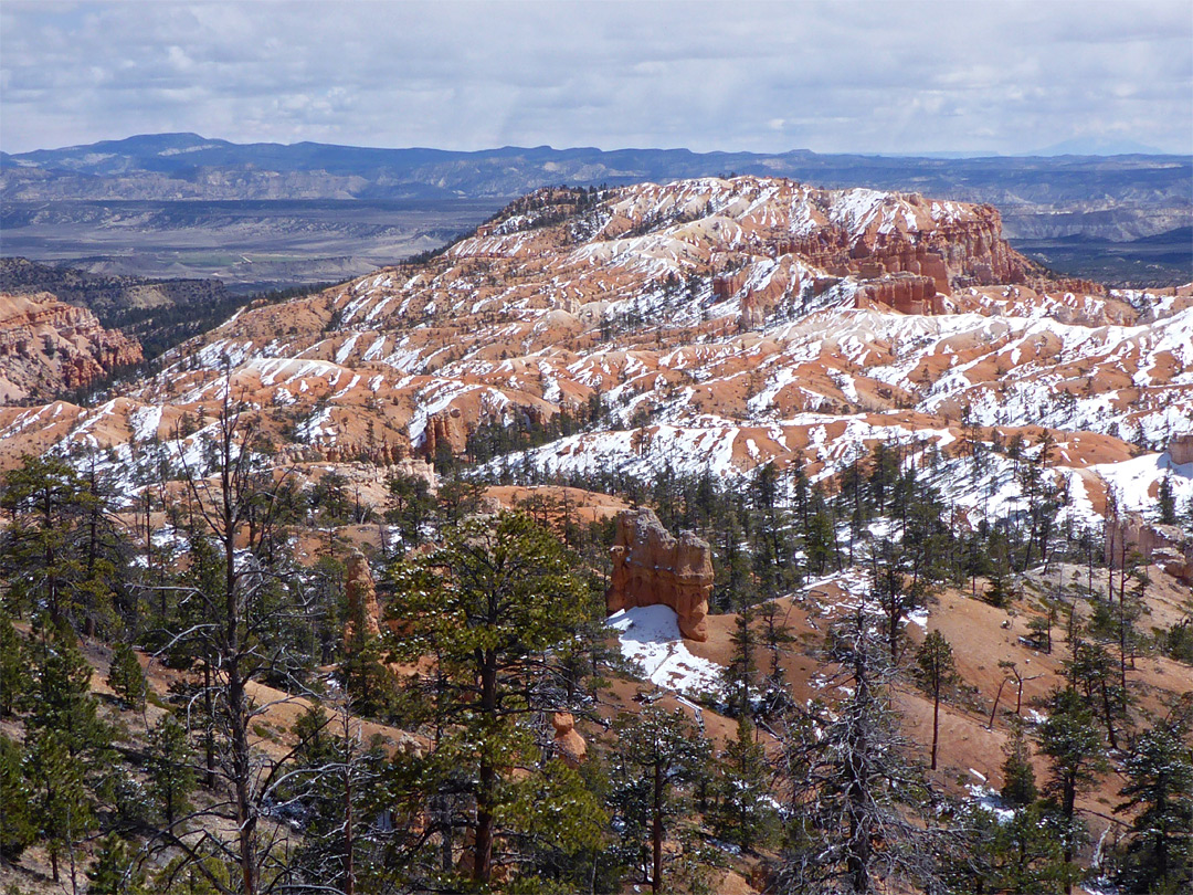 Bristlecone Point