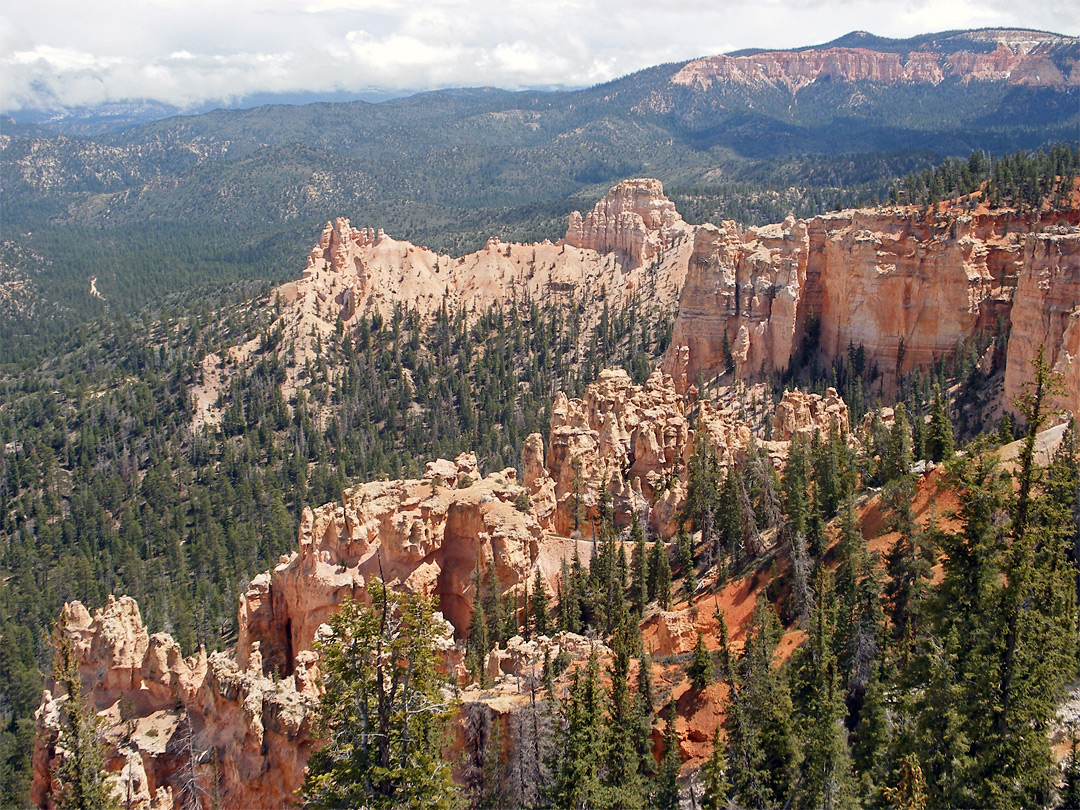 Farview Point