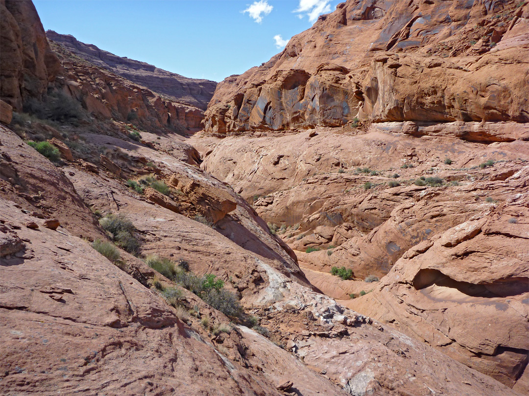 Cliffs above the streamway