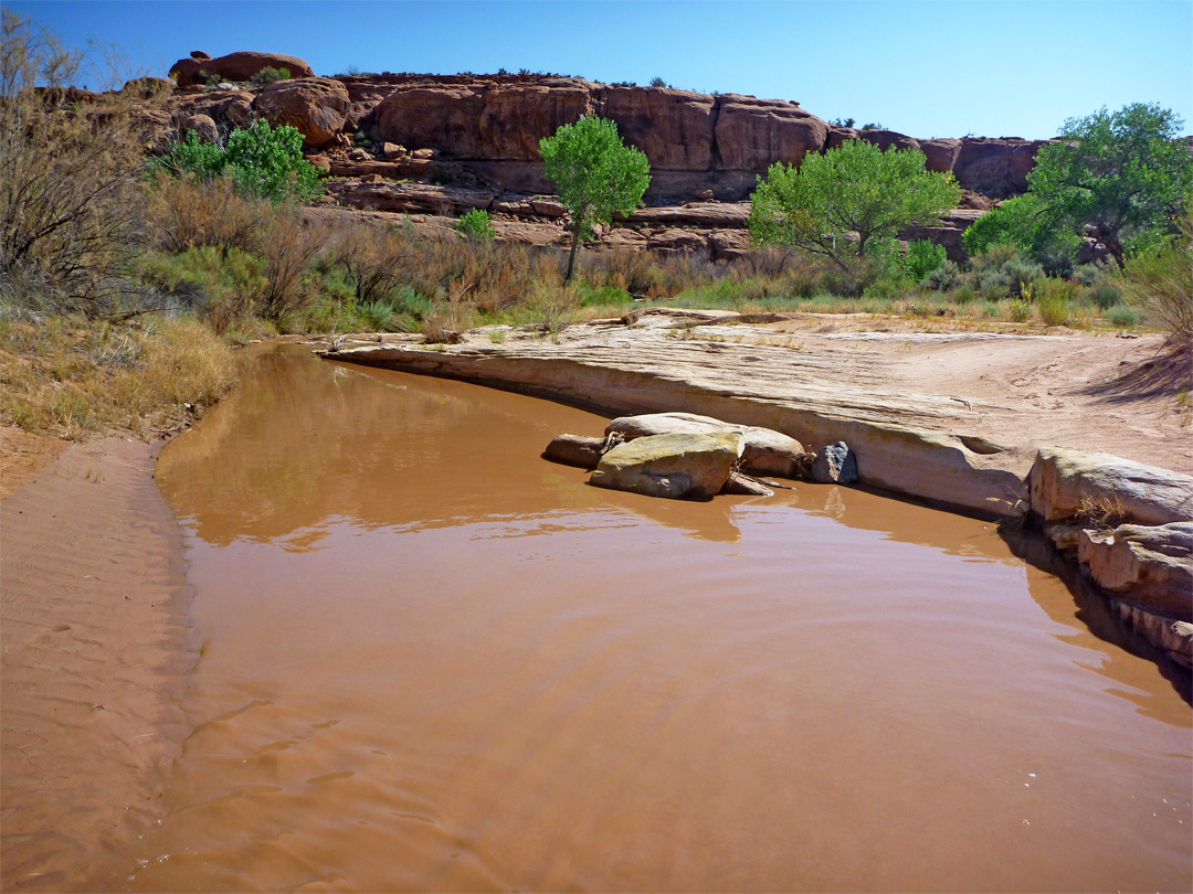 Pool on Fish Creek