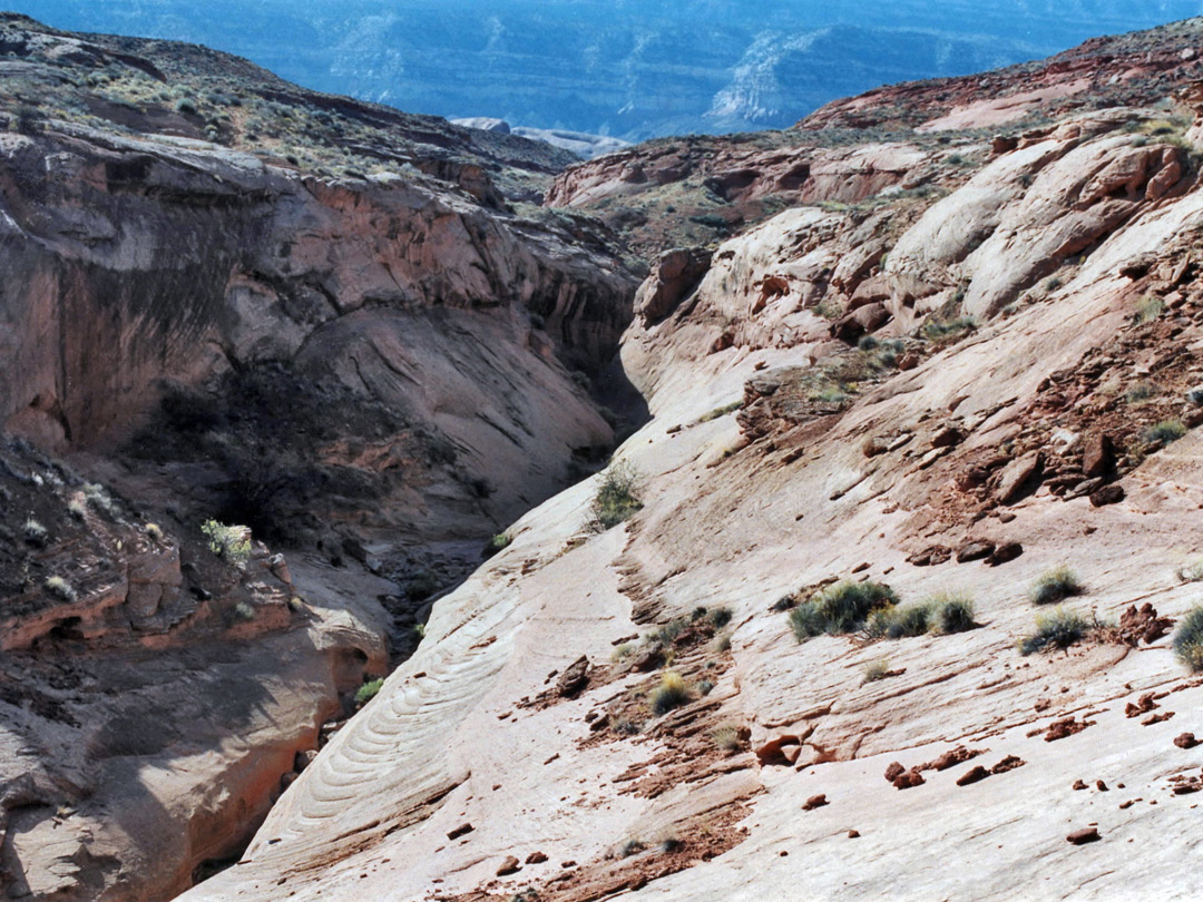 Forty Mile Gulch