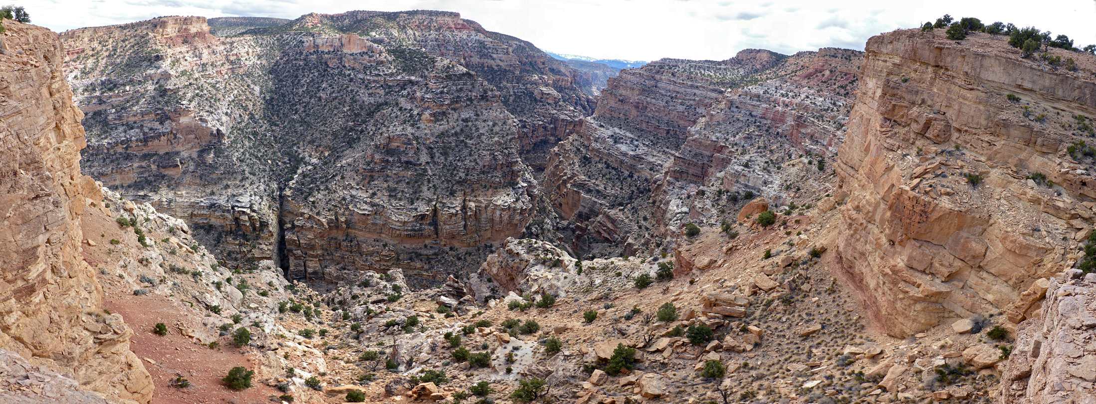 View upstream at the end of the trail