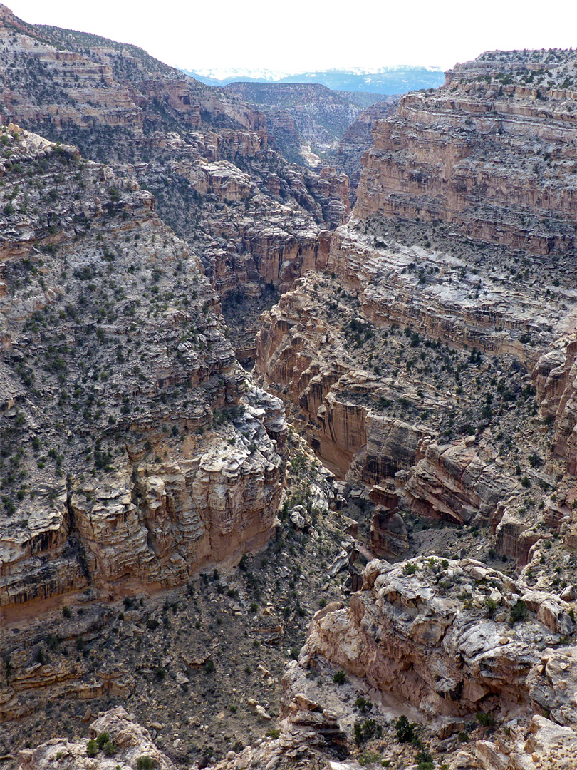 Fremont Gorge