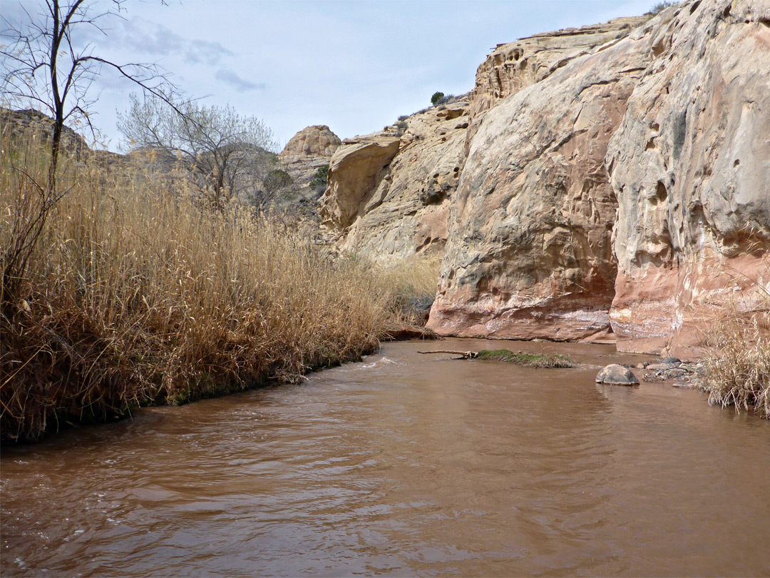 Fremont River