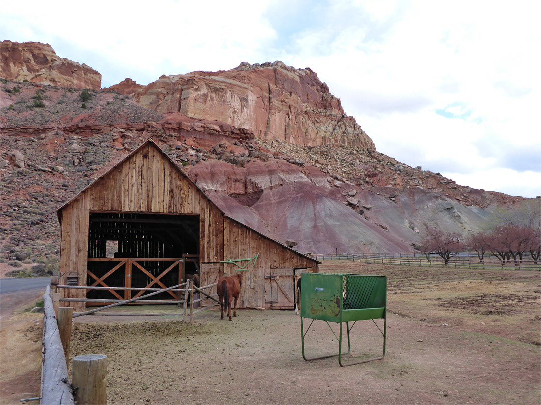 Fruita Barn