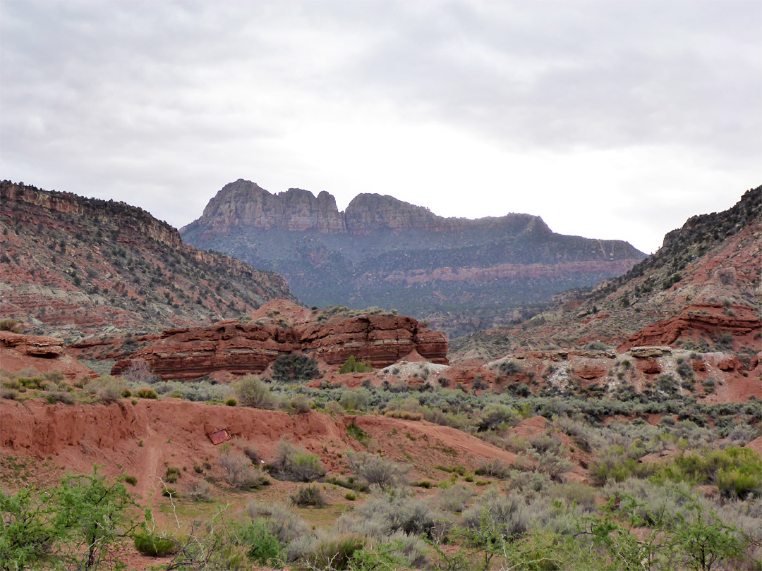 Reddish hills