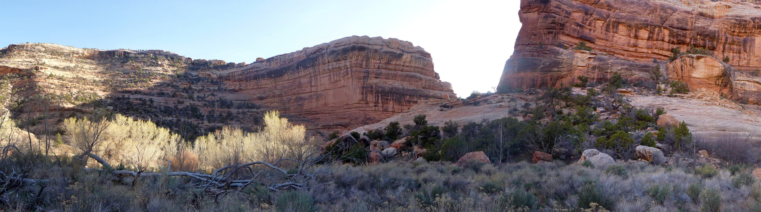 Grand Gulch