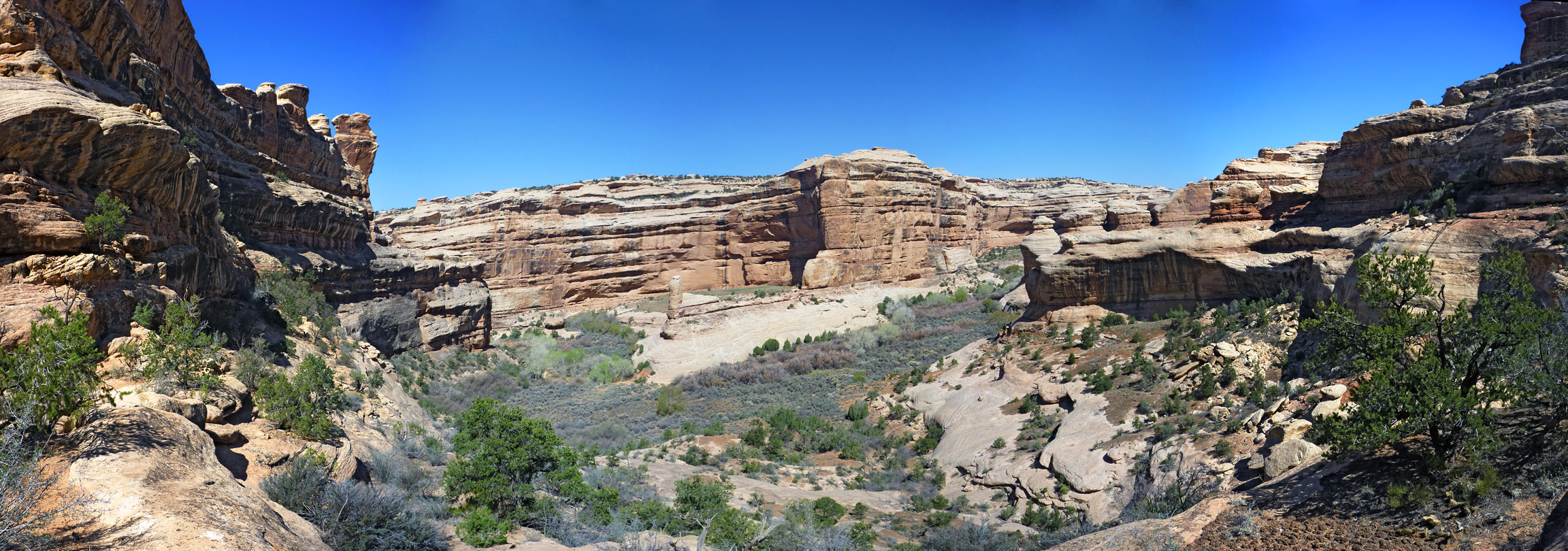 Viewpoint above Grand Gulch