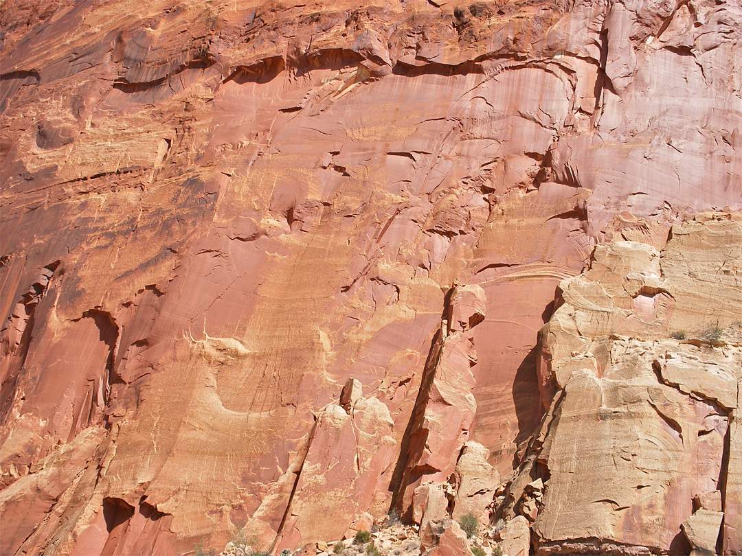 Rock face, Grand Wash