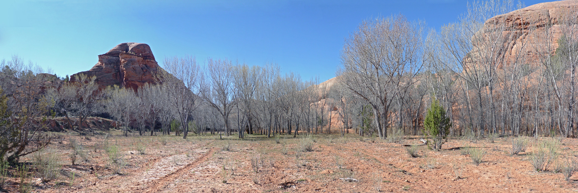 Flat canyon floor