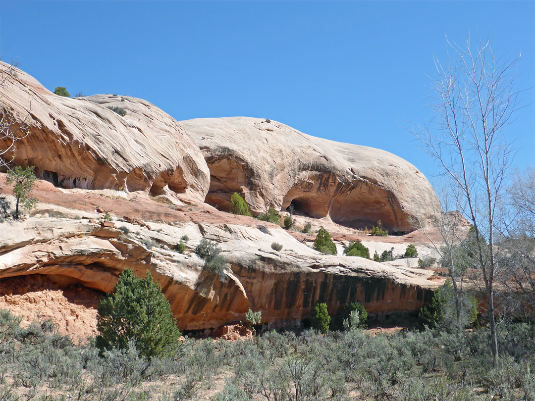 Domed cliffs