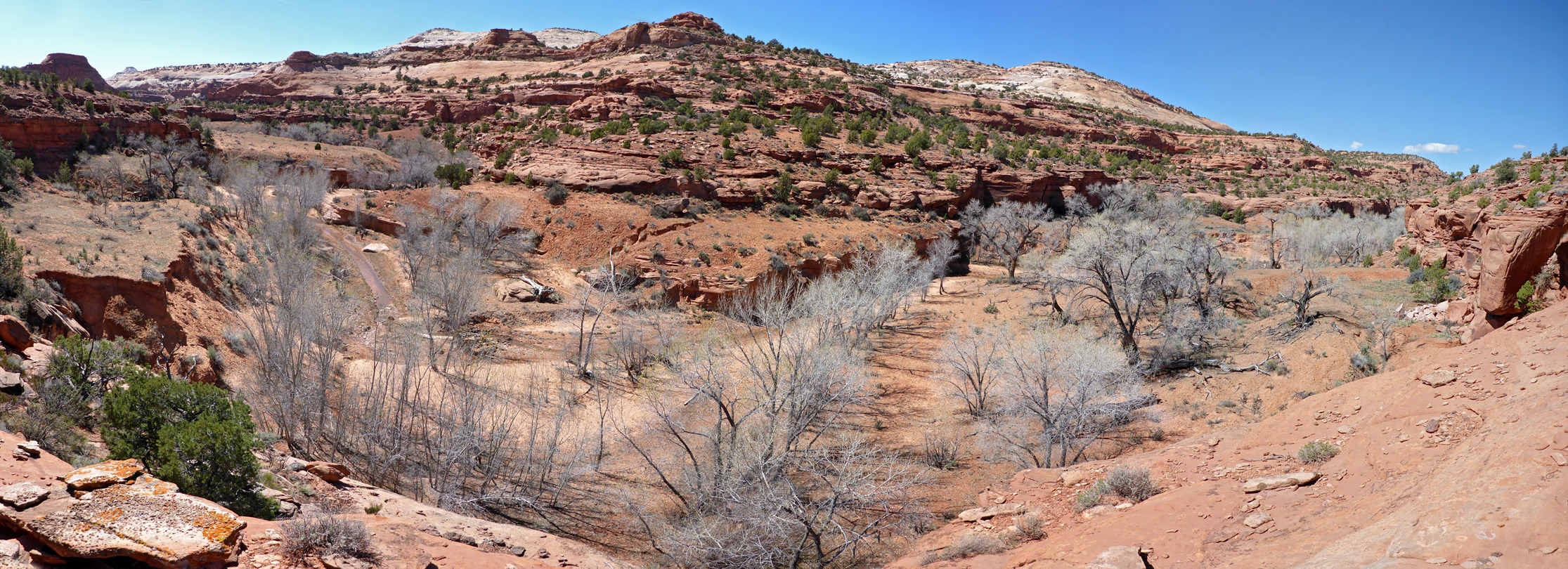 Above the canyon