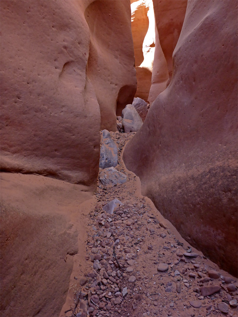 Stony streambed