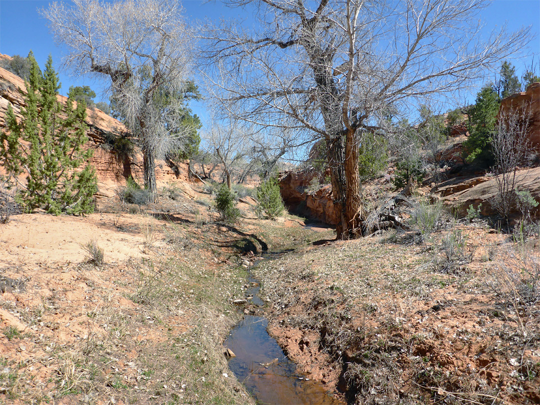 Tributary stream