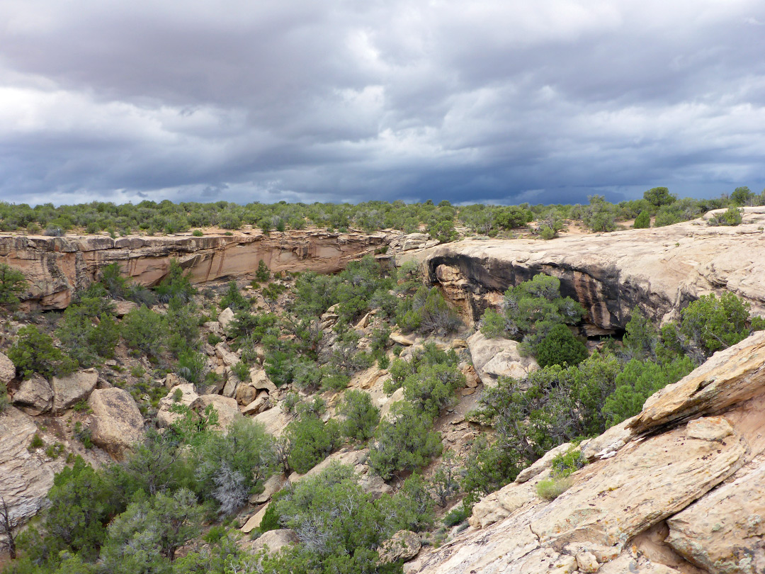 Hackberry Canyon