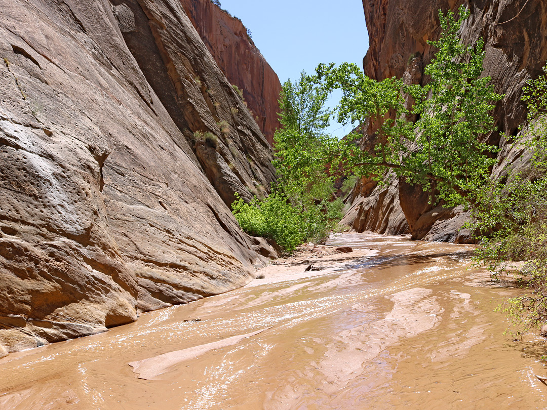 Water and sand