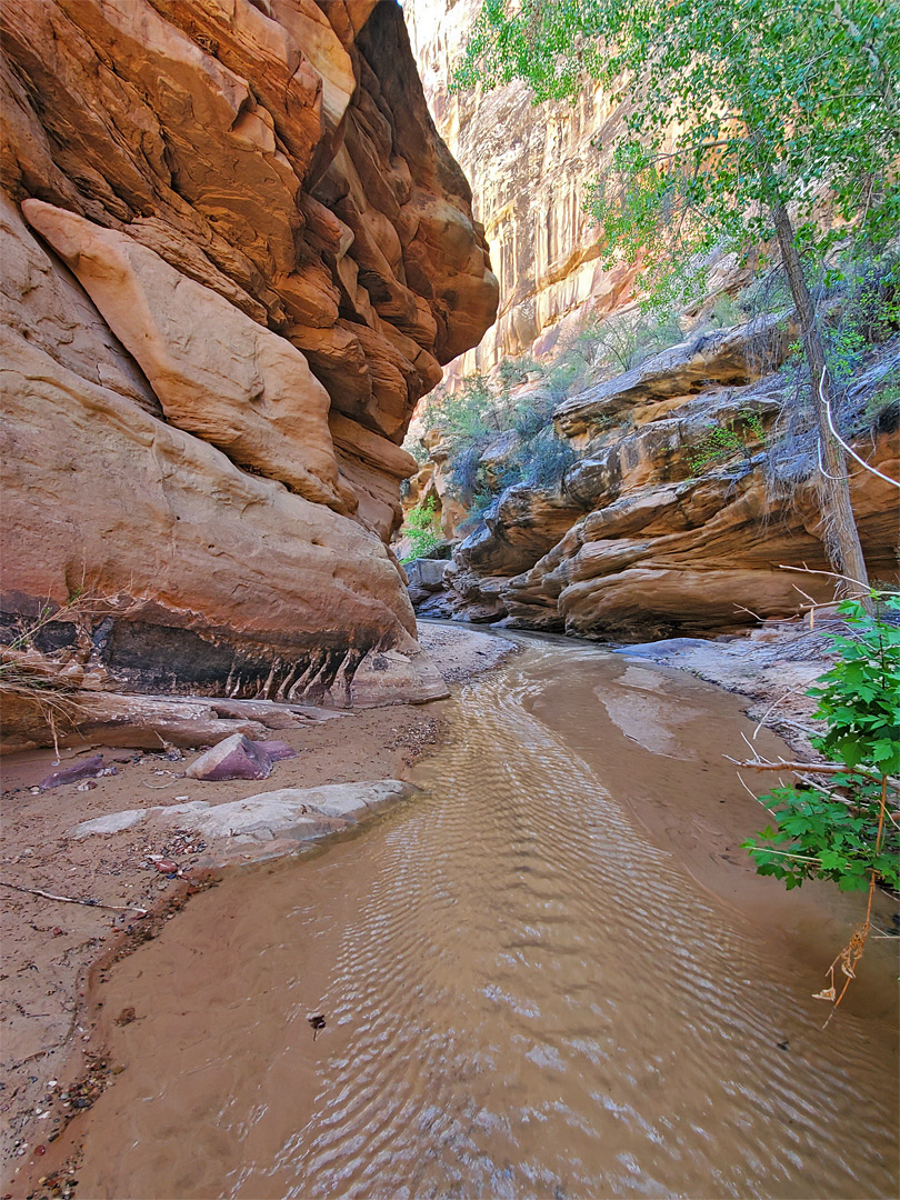 Ripples along the stream
