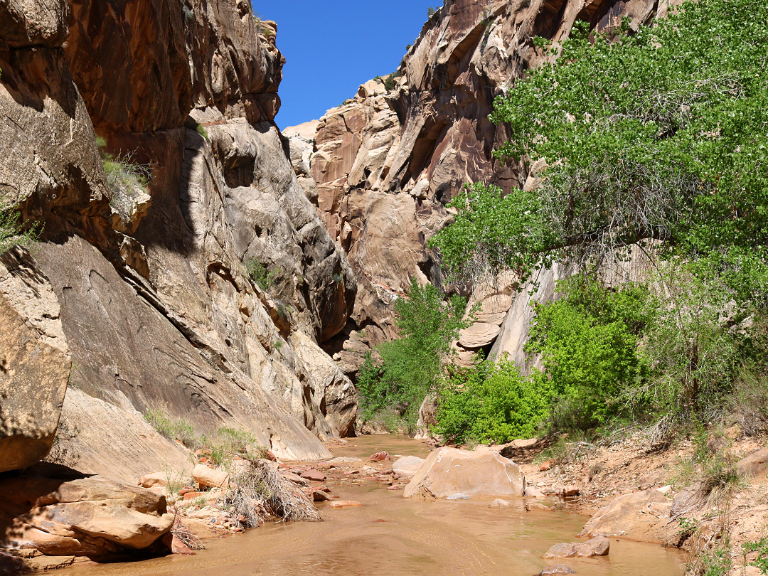 View upstream