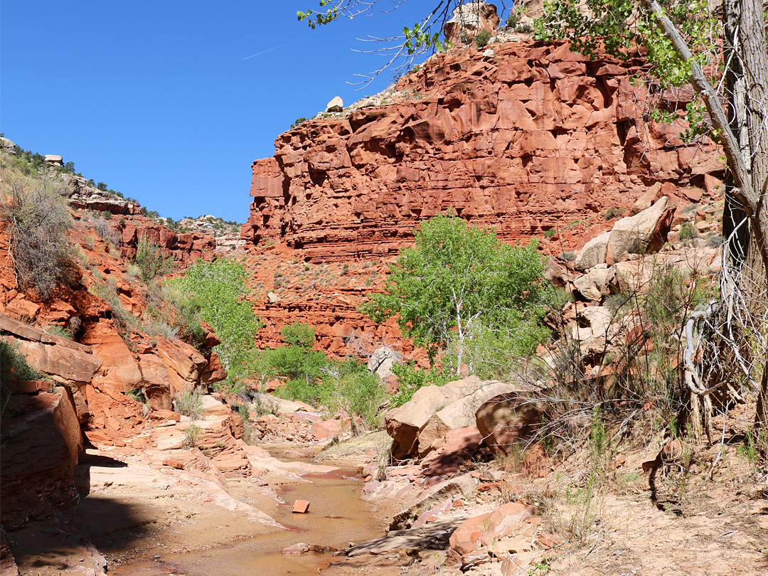 Red cliffs