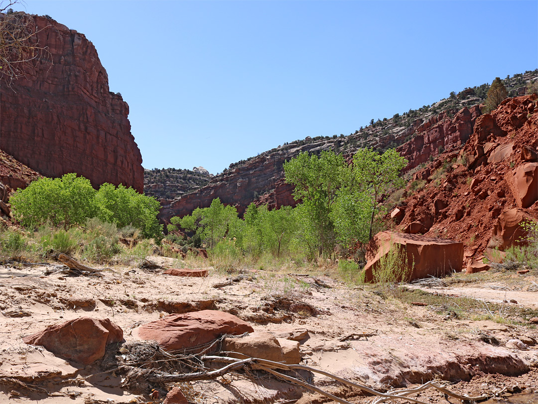 Boulders and trees