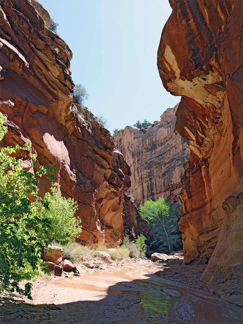 Tall cliffs