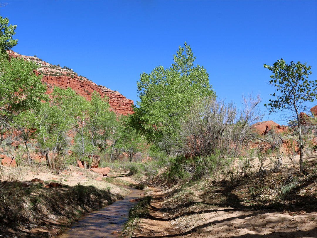 Shadows on the creek
