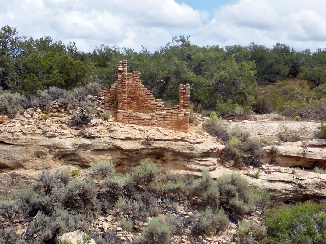 Hackberry ruin