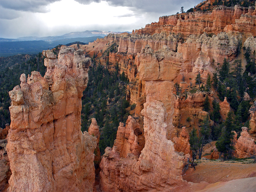 View along the trail