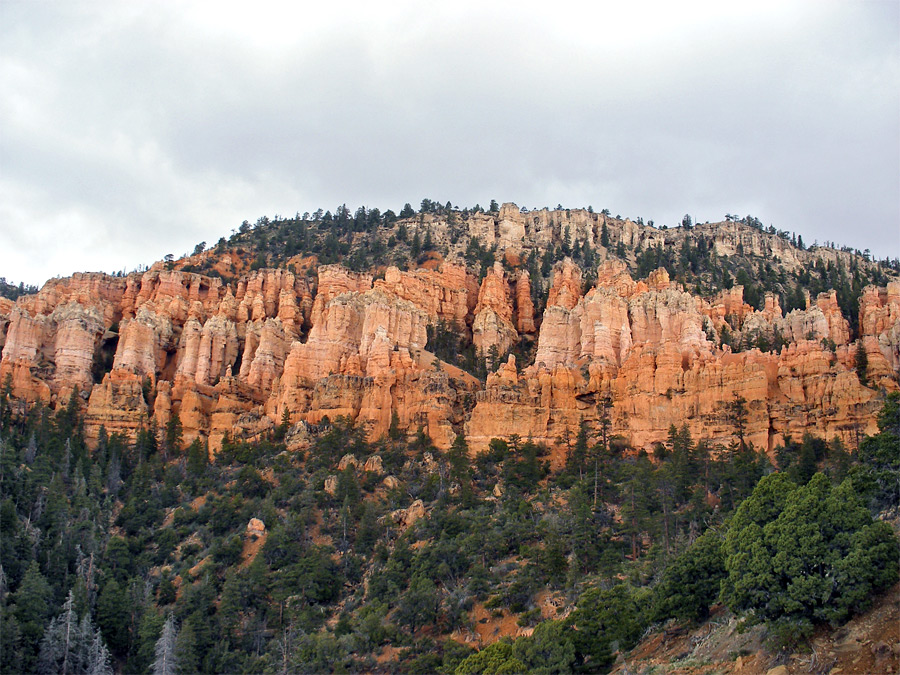 Cliffs below Bryce Point