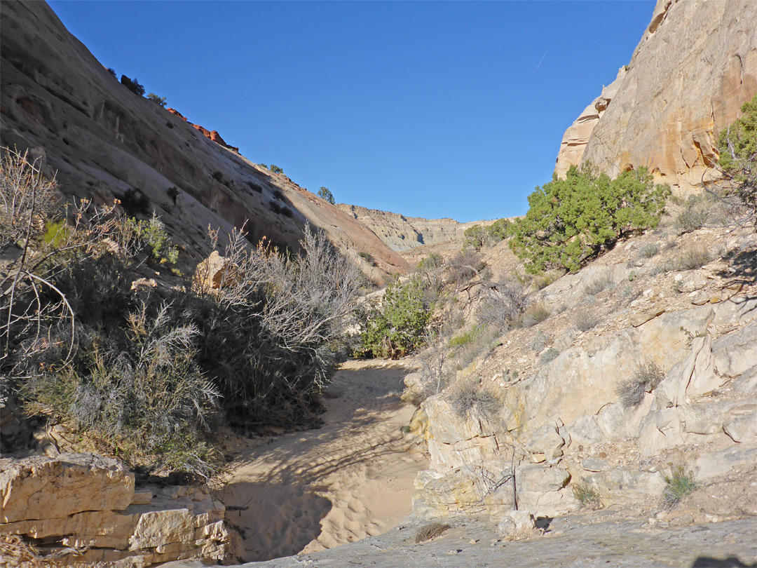 Mouth of the canyon