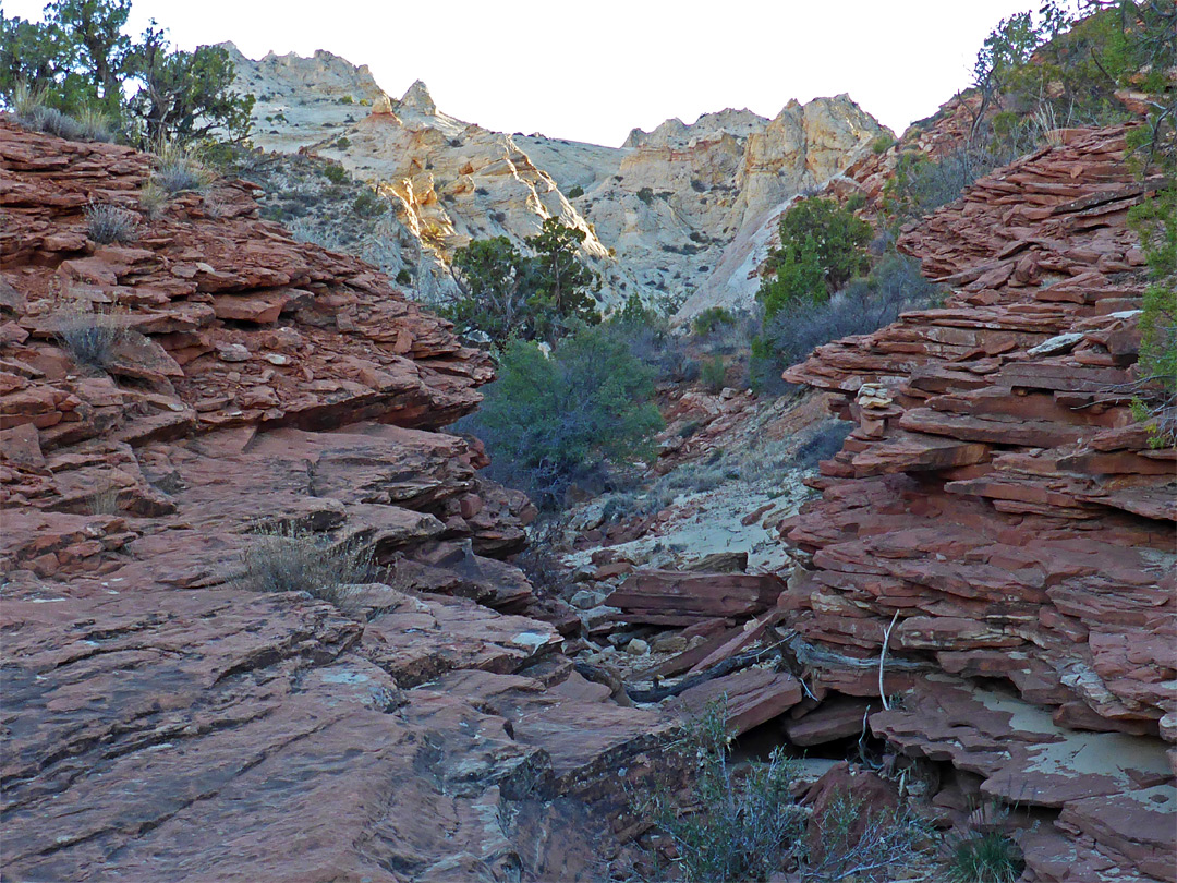 Red rocks