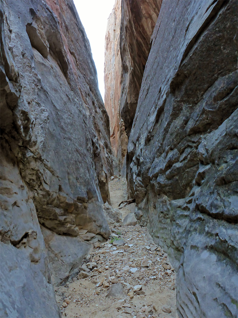 Dark canyon walls