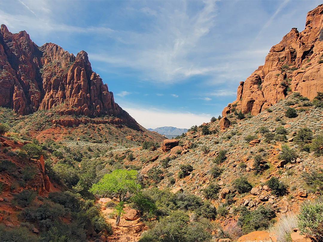 Mouth of the canyon