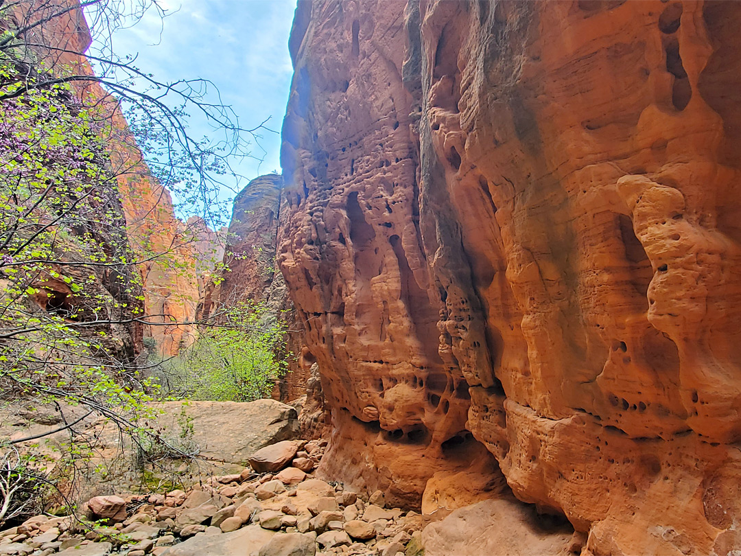 Sheer cliffs