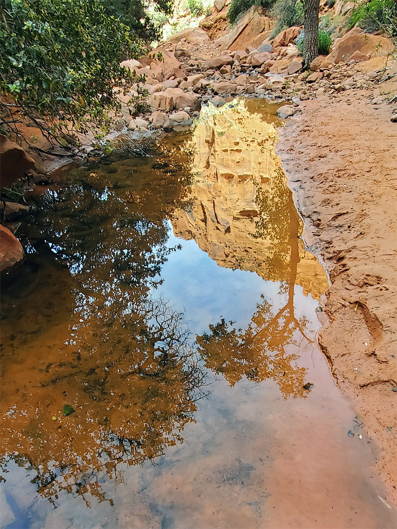 Reflections on a pool