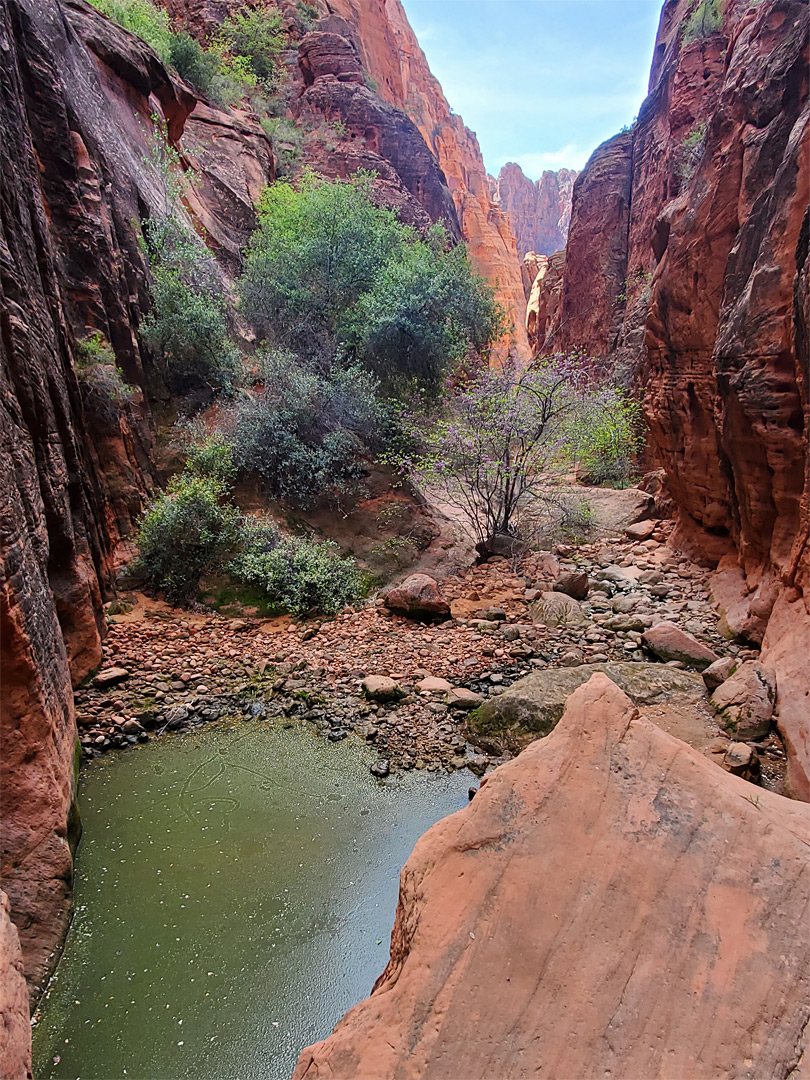 Above a pool