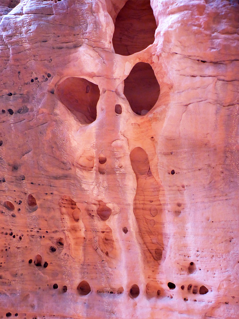 Holes in the rock