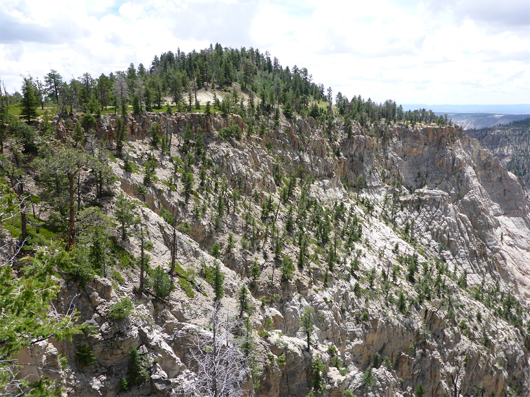 The Hell's Backbone ridge