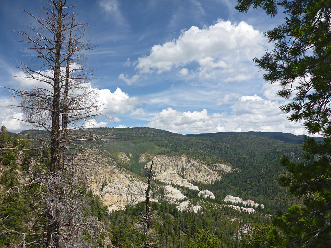 Roadside viewpoint