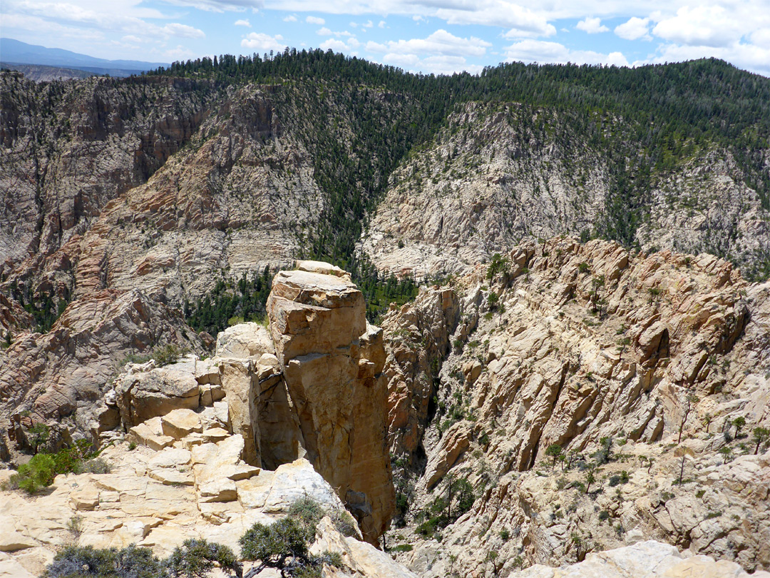 Sandstone cliffs