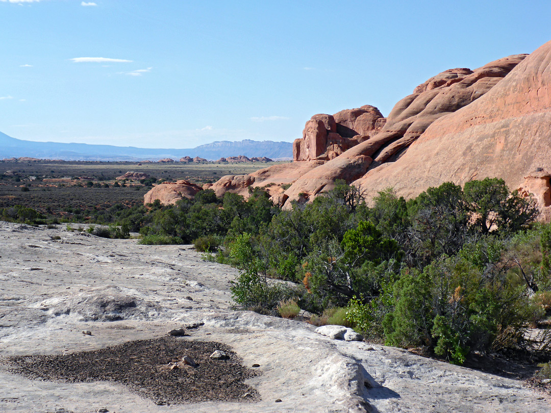 Bushes and white sandstone