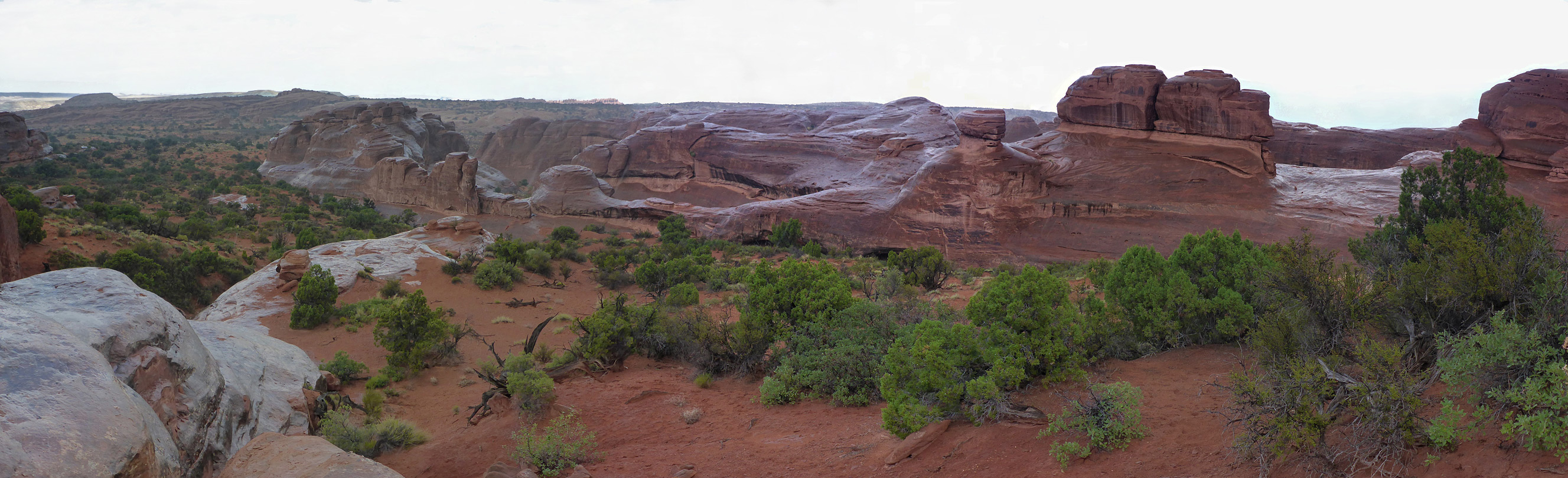 Wet rocks